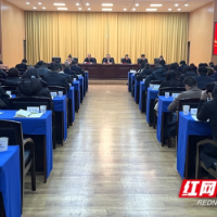 隆平高科技园：精准运用“加减乘除”四法 推动内外监督合力前行