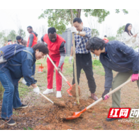 同植“同心林” 共开团结花