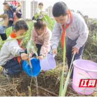 “河小青”凝心聚力齐护河  植绿护绿在行动