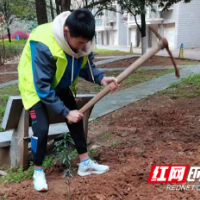 新时代新雷锋 德润雨花志愿红｜捐书换绿植，廉政添品“德”