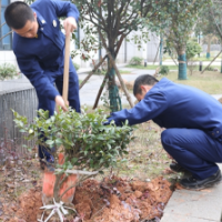 “‘植’此青绿 拥抱春天” 虹桥中心消防救援站开展植树活动