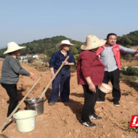 “雷叔”不姓雷 望城桥驿“雷锋式”党员助力家乡建设