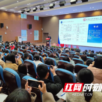 提高义务教育质量 雨花区小学数学吹响“集结号”