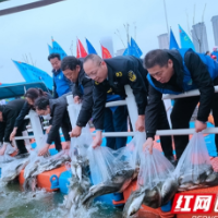 打造河小青示范河湖，宁乡“志愿蓝”守护“生态绿”