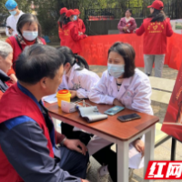 传承雷锋精神，弘扬廉洁正气