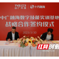 培育数字时代的复合型技术人才 这个基地落户马栏山视频文创园