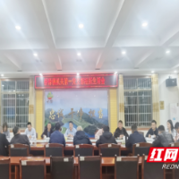 “辣”味实“心”，桥驿镇开展机关党支部组织生活会