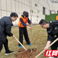 “植”此青绿向阳生长 小学毕业生种下“毕业林”