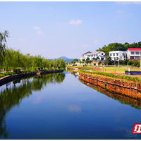 文明风潮漾湘江④ | 一步一景 “莲花”香里拥抱“诗与远方”