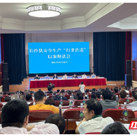 奖惩并重 攻坚创效 “打非治违”的星沙样本