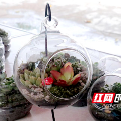 “守护地球 从心开始”——湖南农业大学资源学院开展“世界地球日”主题活动
