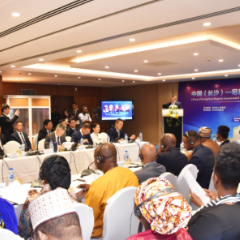 中国（长沙）—尼日利亚投资经贸推介会举行，双方达成多项合作协议