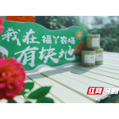 “农场农耕+音乐烧烤”碰撞农旅新火花