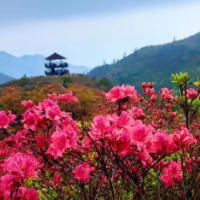 大美长沙，岂止网红