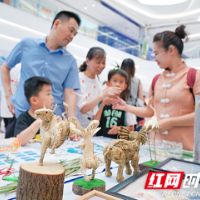 非遗有约，民俗赋美……雨花区举办首届圭塘河民俗文化节