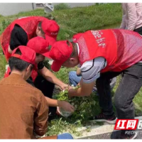 提档城乡品质 建设人与自然和谐共生的现代化新黄花