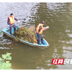 世界环境日“献礼”母亲河，志愿者清河净滩不停歇