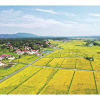 靶向施策为“三资”安全“把诊问脉”