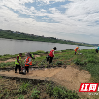 “志愿红”守护河流岸线“青”