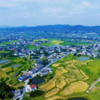 桥驿镇杨桥村：以庭院“小美”助推乡村“大美”