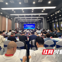 湖南省新能源汽车产业协会成立