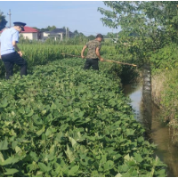 深入落实河长制 全力守护水域生态