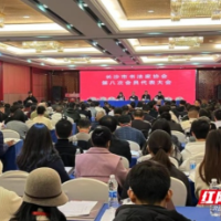 长沙市书法家协会换届，陈阳静当选新一届主席
