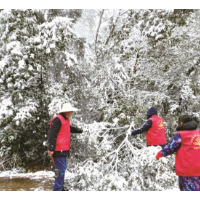 风雪见证温暖