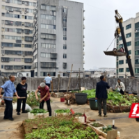 清理“空中菜园” 解决“屋顶烦恼”