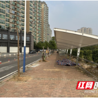 贴心办好这“桩”实事 网格内解决充电安全问题