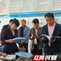 充分发挥社会监督作用，全面推进美丽宁乡建设