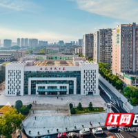 高效办成一件事！小切口改革推动政务服务大提升