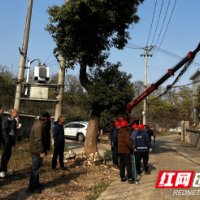 “三长”吹哨消隐患，部门联动解民忧