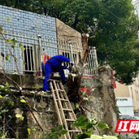 网格联动除隐患 让平安“满格”