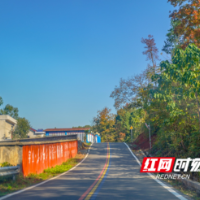 长沙公路：严管细养抓落实 乡乡都有美丽路