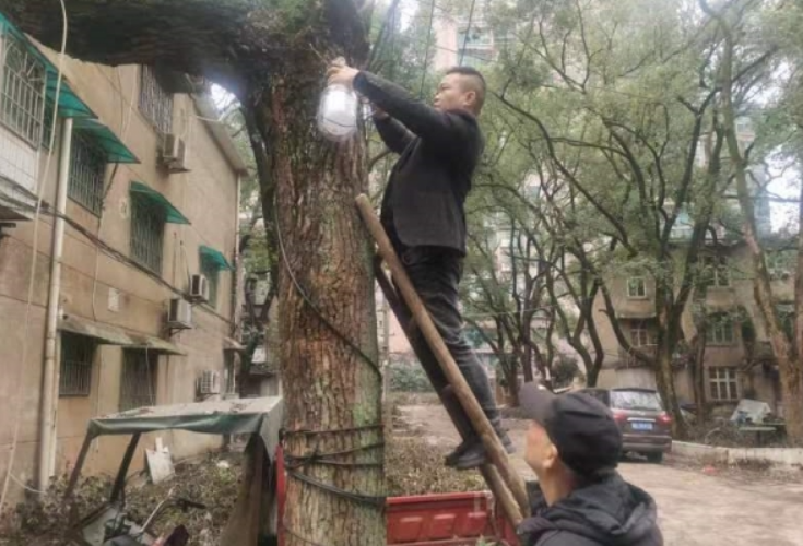 网格服务暖人心 点亮居民回家路