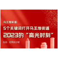 图解｜党建引领促发展 实干担当建新功