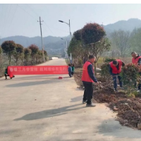 浏阳澄潭江：春暖三月学雷锋  植树增绿我先行