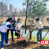 文明实践在雨花 | 圭塘河畔植新绿  好人共建幸福林