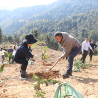 “植此青绿”不负春光，为大地穿上“新装”