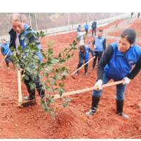 大地复苏春意浓，植绿护绿志愿行