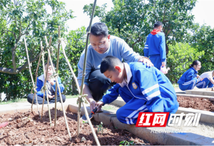 “走，放羊去！”  这所特校开启劳动教育+自然教育融合之旅