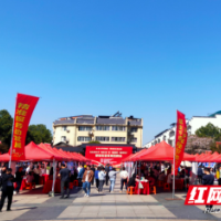 家门口的招聘会 “职”为你而来