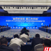 吸睛又吸“金”！望城2160余亩优质土地资源“招亲”