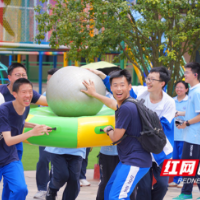 拓展实践课程 培养核心素养