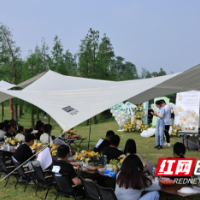 听“青”声 汇“青”力 “靖”心助成长