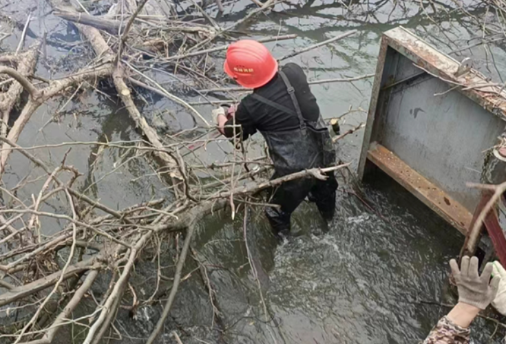 守护碧水，宁乡积极开展河湖垃圾清理行动