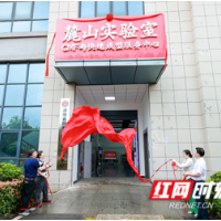 视频｜ 创意变产品摁下“快捷键” ，麓山实验室CMF与快速成型服务中心揭牌