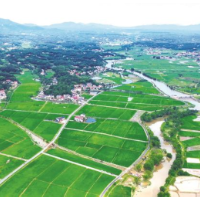 长沙县青山铺镇：红色引擎激发青山新活力