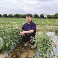 “95后”深耕家乡沃土种出“新天地”